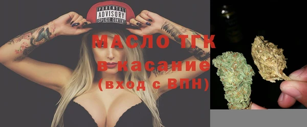 тгк Бородино