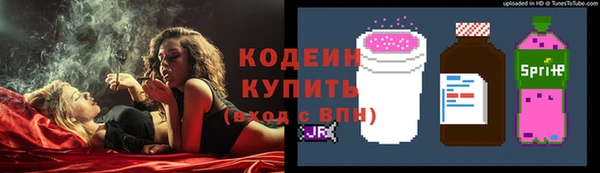 метадон Богданович