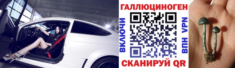 закладки  Петухово  Псилоцибиновые грибы мухоморы 